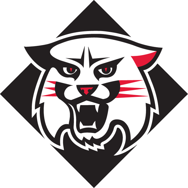 Davidson Wildcats 2010-Pres Alternate Logo DIY iron on transfer (heat transfer)